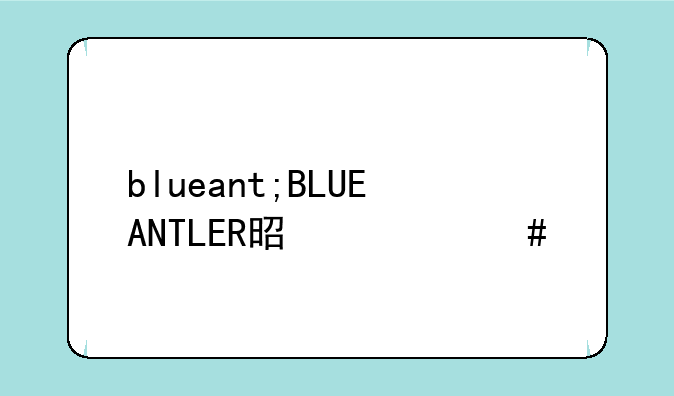 blueant;BLUEANTLER是什么牌子耳机