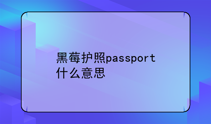 黑莓护照passport什么意思