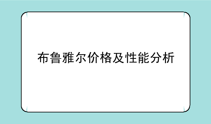 布鲁雅尔价格及性能分析