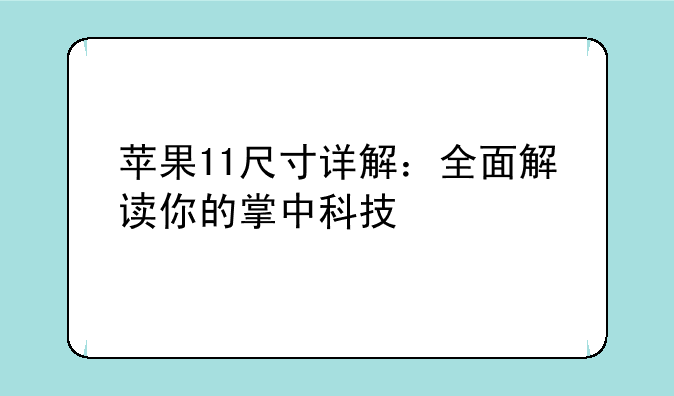 苹果11尺寸详解：全面解读你的掌中科技