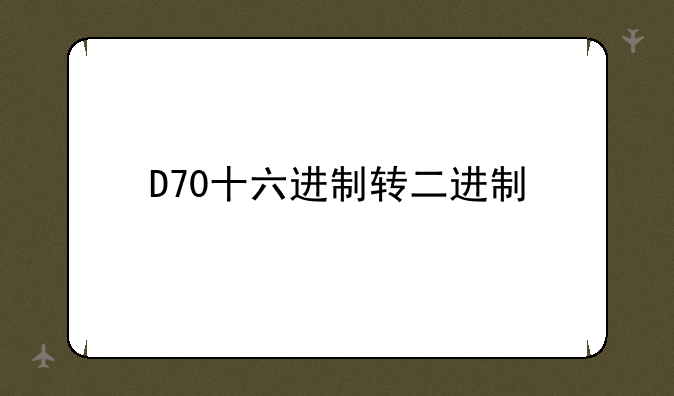 D70十六进制转二进制