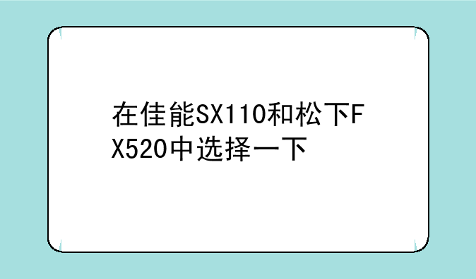 在佳能SX110和松下FX520中选择一下